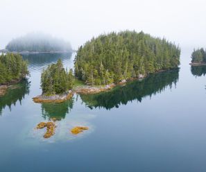 Great Bear Rainforest - Canada
