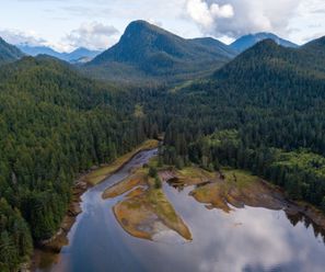 Great Bear Rainforest - Canada