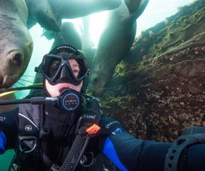 Steller Sea Lion Selfie 2.0