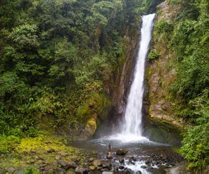 Aquiares Waterfall - Costa Rica